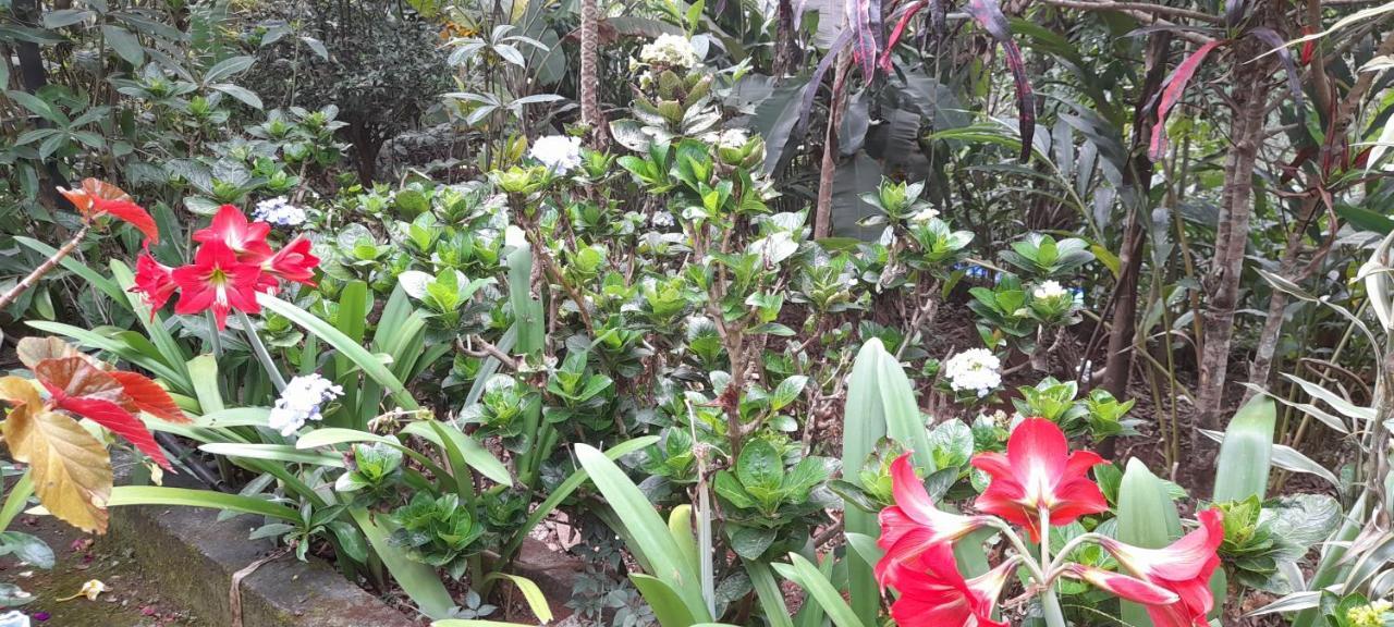 Le Farmhouse Munnar Anachal Zewnętrze zdjęcie