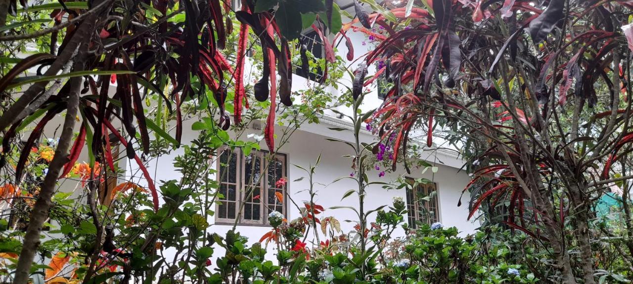 Le Farmhouse Munnar Anachal Zewnętrze zdjęcie