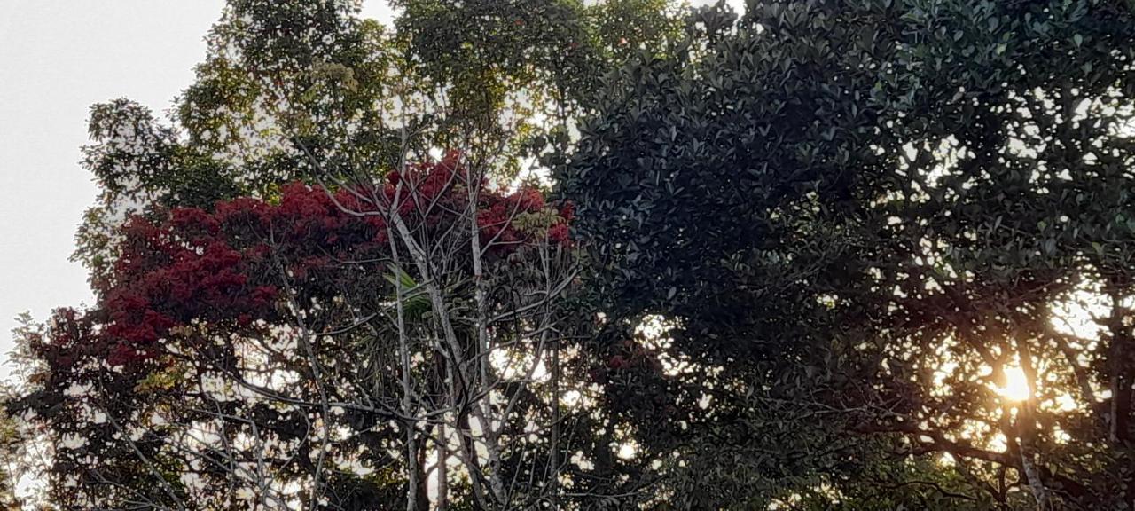 Le Farmhouse Munnar Anachal Zewnętrze zdjęcie