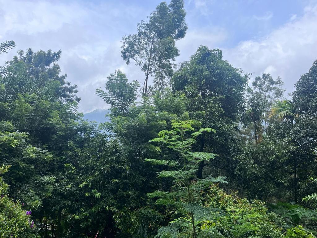 Le Farmhouse Munnar Anachal Zewnętrze zdjęcie